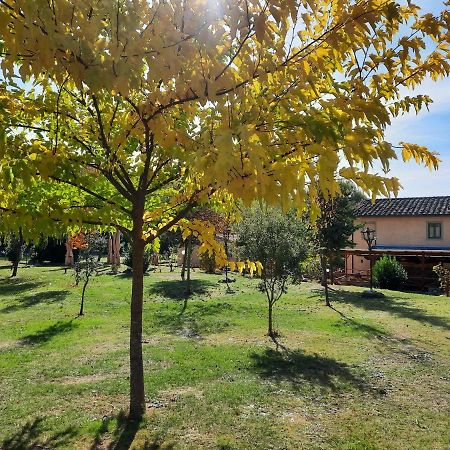 Sassomatto B&B Bioagriturelax Campogialli 外观 照片