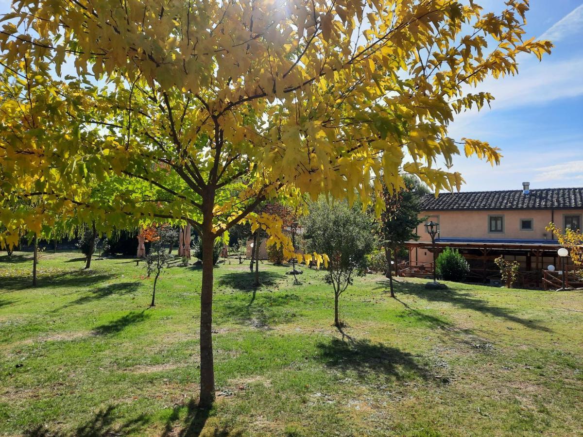Sassomatto B&B Bioagriturelax Campogialli 外观 照片