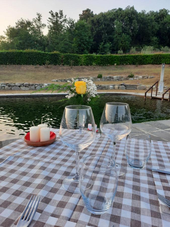 Sassomatto B&B Bioagriturelax Campogialli 外观 照片