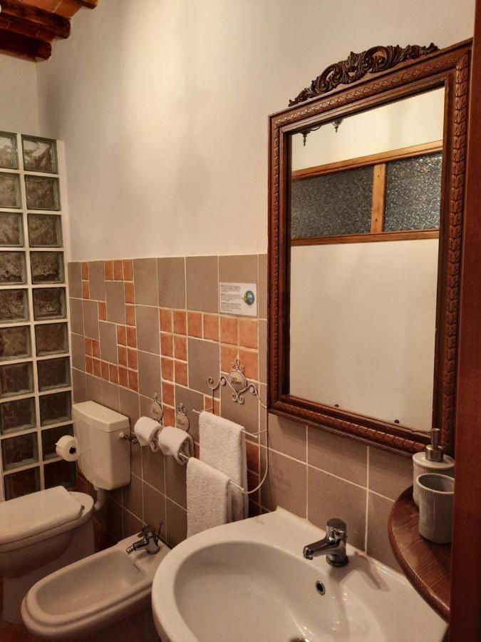 Sassomatto B&B Bioagriturelax Campogialli 外观 照片