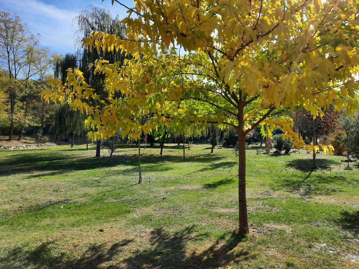 Sassomatto B&B Bioagriturelax Campogialli 外观 照片